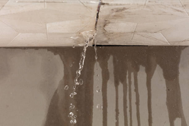 Professional Sewage Cleanup technician working in Lindstrom, MN